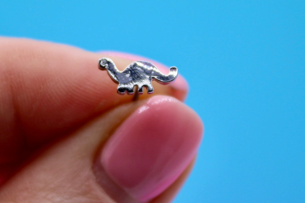 Dinosaur Lover - Silver Stud Earrings